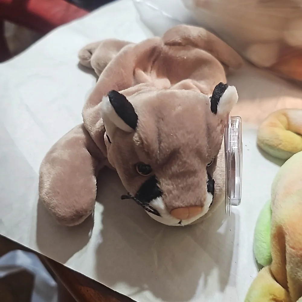 Beanie Baby Bundle of 3